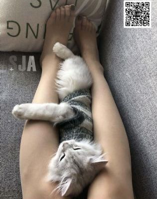 精品久久久久久无码人妻黑人_日韩在线播放专区