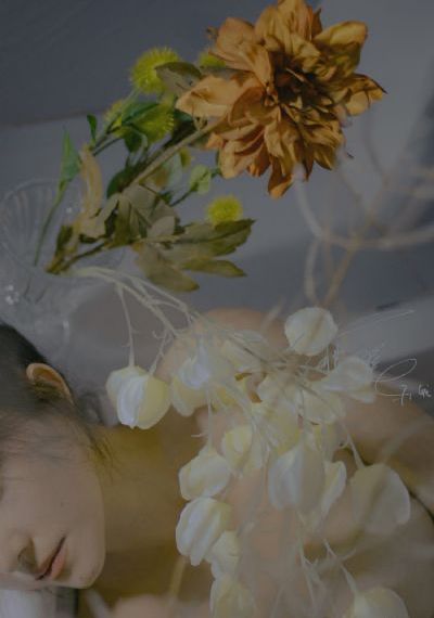 91精品国产综合久久香蕉麻豆_1080P高清免费观看