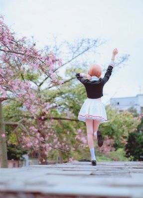 日本高清视频wwww色_BD韩语电视剧在线观看
